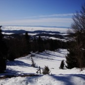 Pot: Podkrajnik – Kisovec – Mala planina