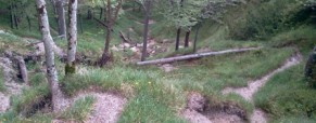 Pot: Kamniška Bistrica – Presedljaj – Korošica