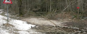 Akcija čiščenja poti!