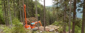 Naravovarstveni pohod Jezersko