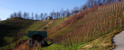 Vabilo na pohod: Štajerski griči