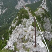 58. volilni občni zbor