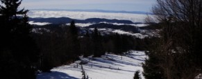 Pot: Podkrajnik – Kisovec – Mala planina