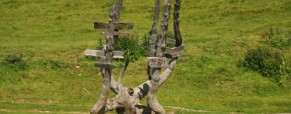 Pot: Krivčevo – Mala planina