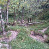 Pot: Kamniška Bistrica – Presedljaj – Korošica