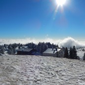 Odprta pot na Veliko planino