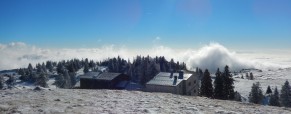 Odprta pot na Veliko planino