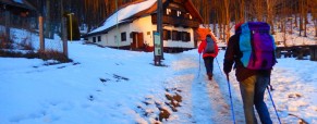 Krtina – Čemšeniška planina – Poročilo