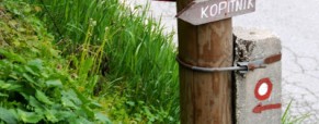 1.2.2015 -Izlet na Kopitnik