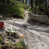 Zaščiteno: Markacisti – Poročila