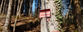 Pregled poti: Čeh – Dupeljne