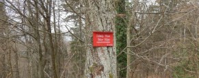 Pregled poti: Tabor – Trojica