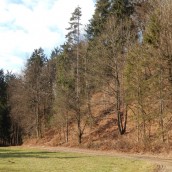 Vabilo: Pohod Kolovec