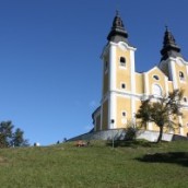Vabilo: pohod na Goro Oljko