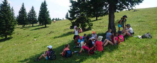 Knjižnica pod krošnjami in pravljice na Veliki planini