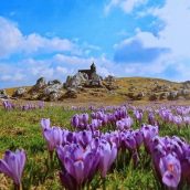 Fotografska razstava Janeza Medveška na Mali planini