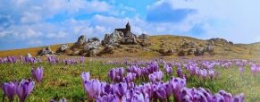 Fotografska razstava Janeza Medveška na Mali planini