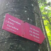 Opozorilo: pazljivo in po navodilih po Kamniški Beli