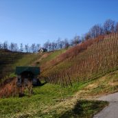 Vabilo na pohod: Štajerski griči
