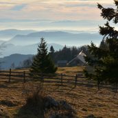 Vabilo na pohod: Menina planina