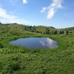 DSC_6124 (2)