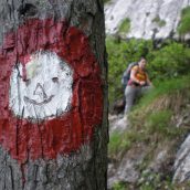 Vršič nad Belim potokom
