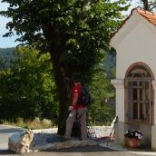 Markiranje Tabor – Brdo