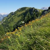 Vodeni pohodi na Dan domžalskih planincev