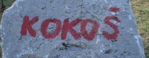 Vabilo: družinski izlet na Kokoš