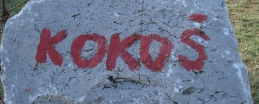 Družinski izlet na Kokoš