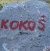 Vabilo: družinski izlet na Kokoš