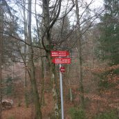 Poročilo: zahodni konec DPS