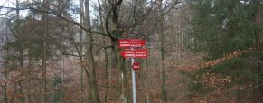 Poročilo: zahodni konec DPS