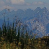 Železni tabor karavanškega grebena za starejše osnovnošolce in srednješolce