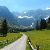 Vabilo: Planinska tura na Goli vrh (1.787m)