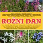 Rožni dan - plakat 2019