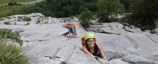 Stene Karnijskih Alp