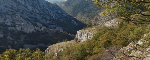 Vabilo na pohod po Dolini Glinščice (Val Rosandra)