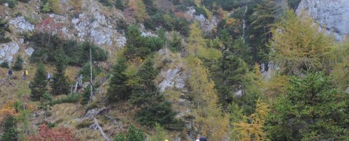 (Ne)znano pod Kamniškim sedlom