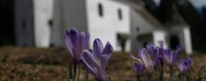 Vabilo: Meddruštveni pohod na Pohorje