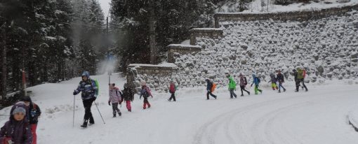 Otroško našli zimo☃️ pod Vršičem