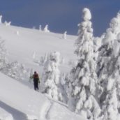 Turni smuk🎿 za začetnike (in vse ostale)