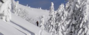 Turni smuk🎿 za začetnike (in vse ostale)