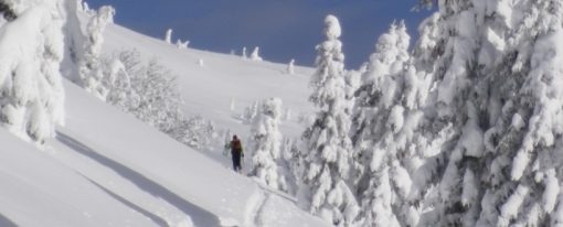 Turni smuk🎿 za začetnike (in vse ostale)