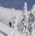 Turni smuk🎿 za začetnike (in vse ostale)