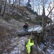 Čiščenje poti Stahovica – planina Kisovec