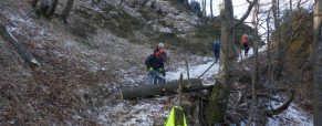 Čiščenje poti Stahovica – planina Kisovec