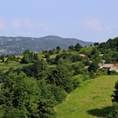 VO vabi po dolenjskih gričih