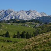 Po planinskih poteh na Veliko planino