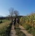Poročilo: od Otočca do Gospodične